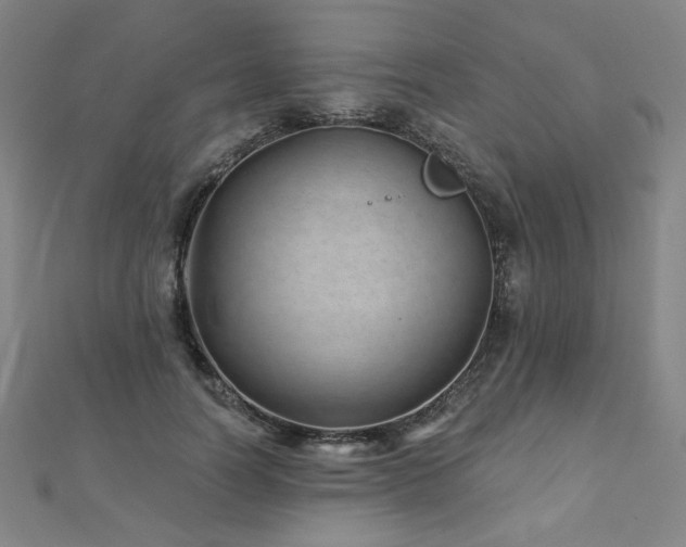 X0000112480746200908171219