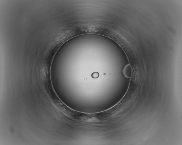 X0000112480747200908171219