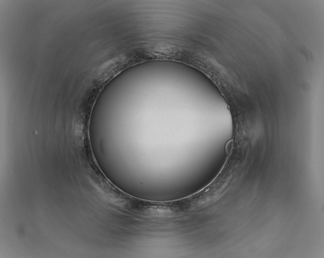 X0000112480749200908171219