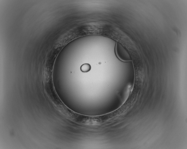 X0000112480751200908171219