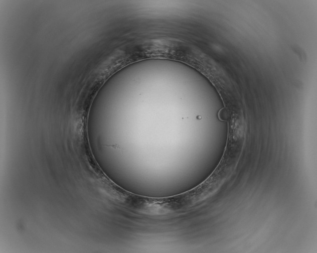 X0000112480753200908171219