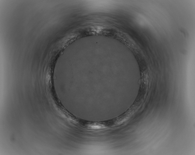 X0000112480754200908171219
