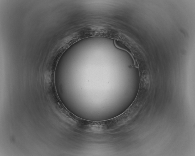 X0000112480756200908171219