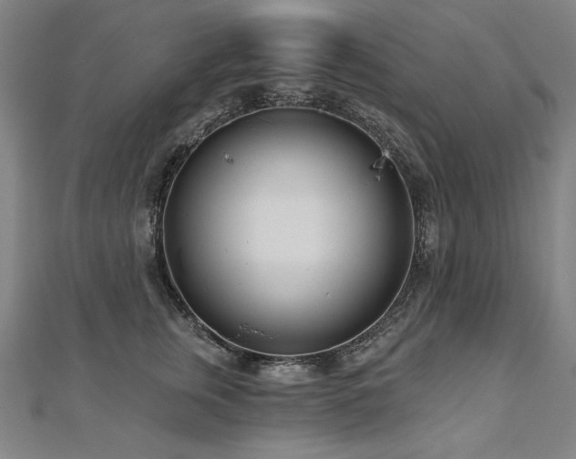 X0000112480759200908171219