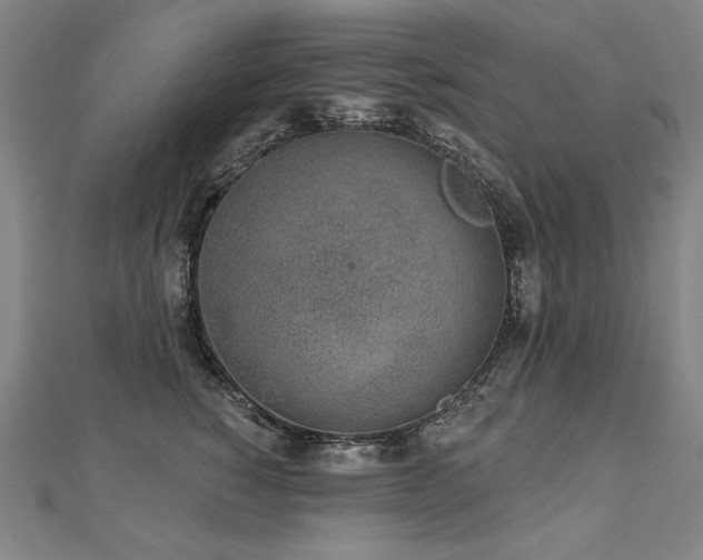 X0000112480760200908171219