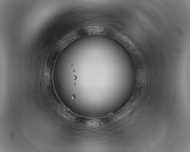 X0000112480761200908171219