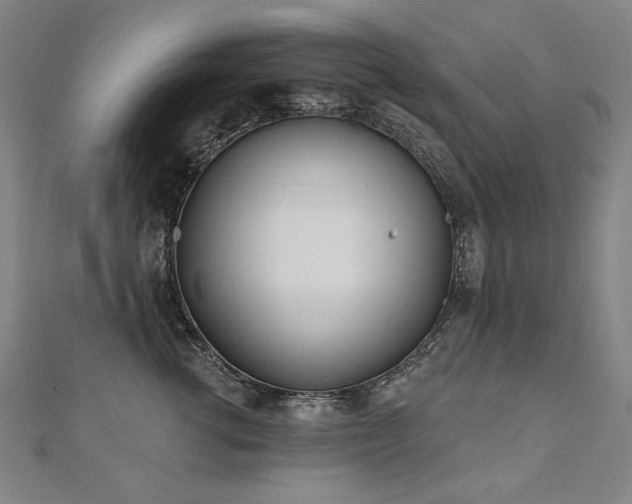 X0000112480762200908171219
