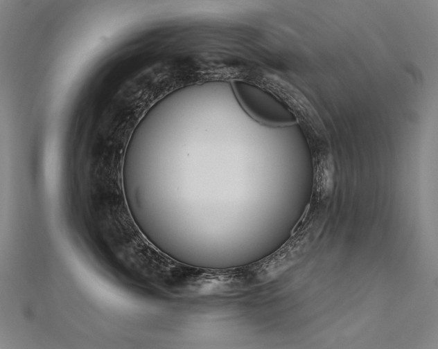 X0000112480764200908171219