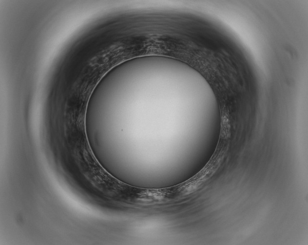 X0000112480765200908171219