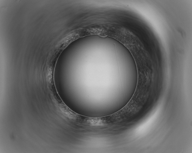 X0000112480767200908171219