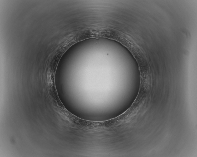 X0000112480770200908171219