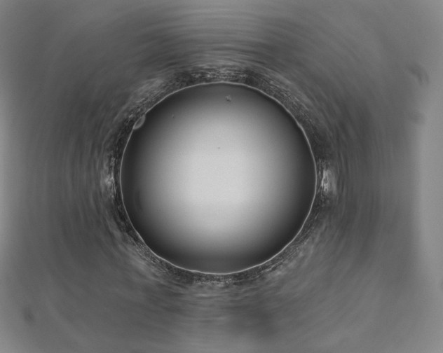 X0000112480771200908171219