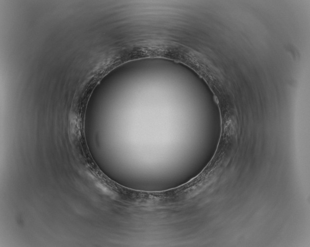 X0000112480772200908171219