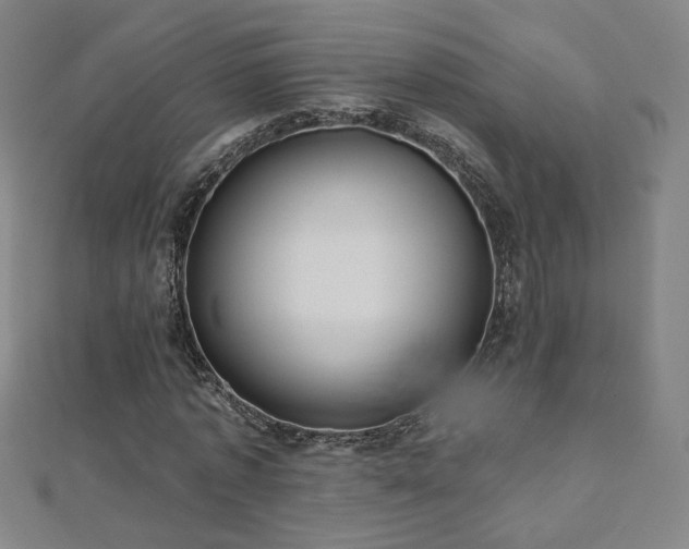 X0000112480773200908171219