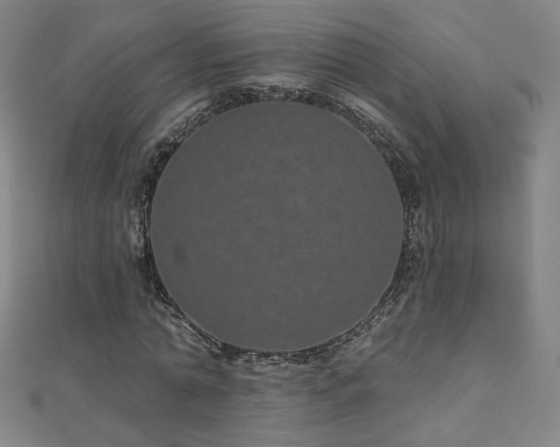 X0000112480774200908171219