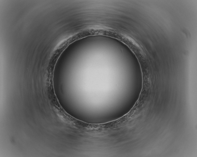 X0000112480775200908171219