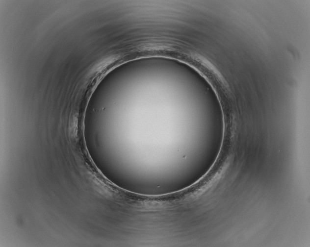 X0000112480777200908171219