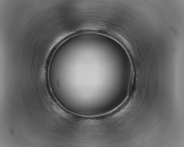 X0000112480779200908171219
