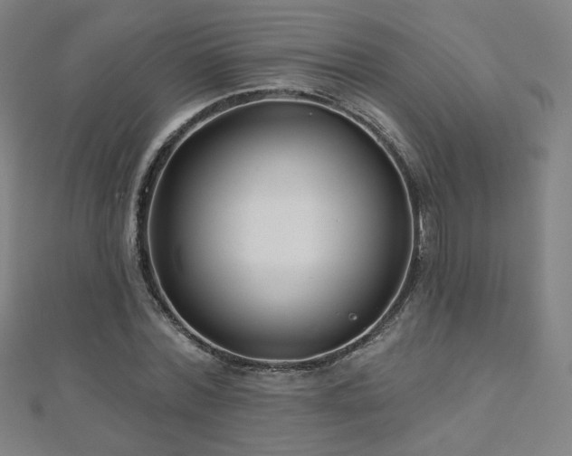 X0000112480780200908171219
