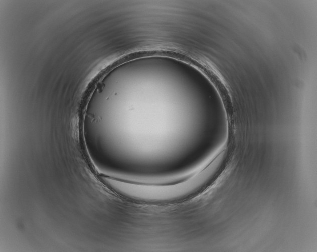X0000112480781200908171219