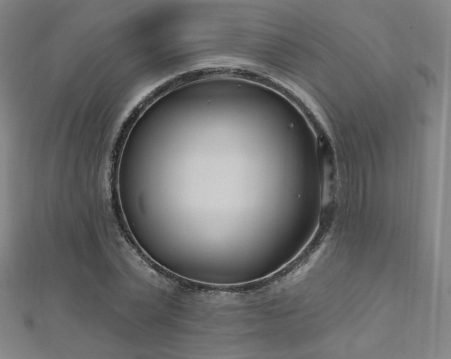 X0000112480783200908171219
