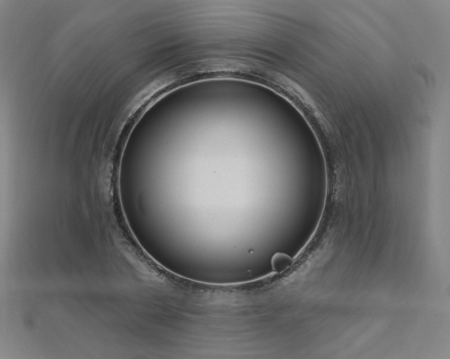 X0000112480786200908171219