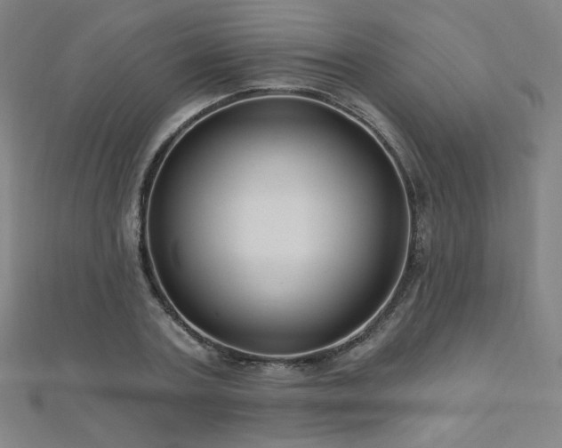 X0000112480787200908171219