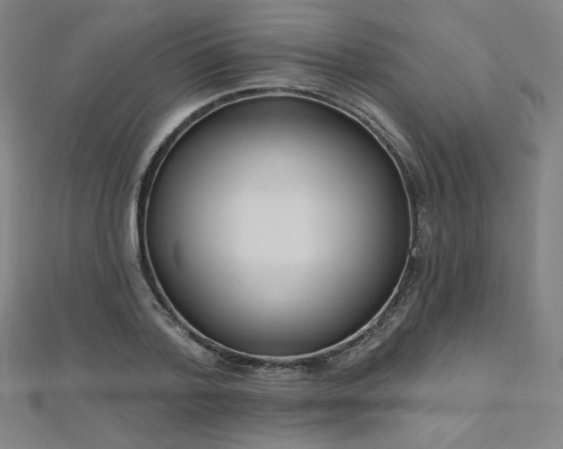 X0000112480788200908171219