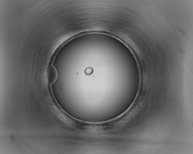 X0000112480789200908171219