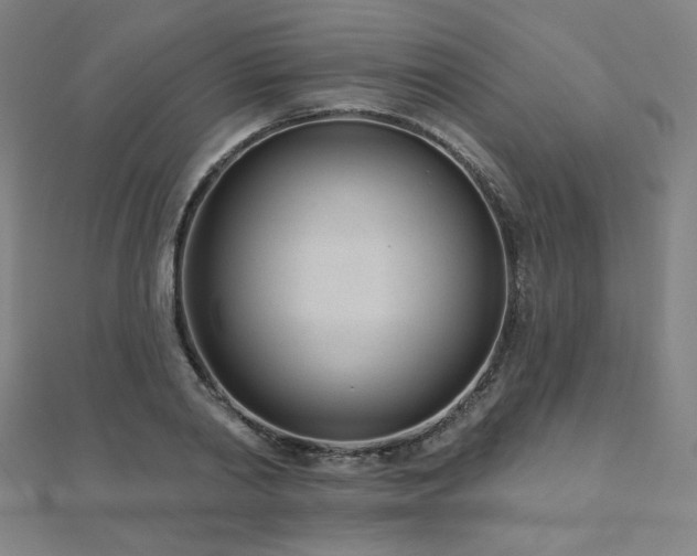 X0000112480790200908171219