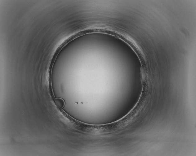 X0000112480791200908171219