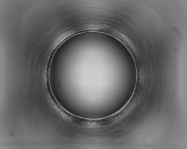 X0000112480794200908171219