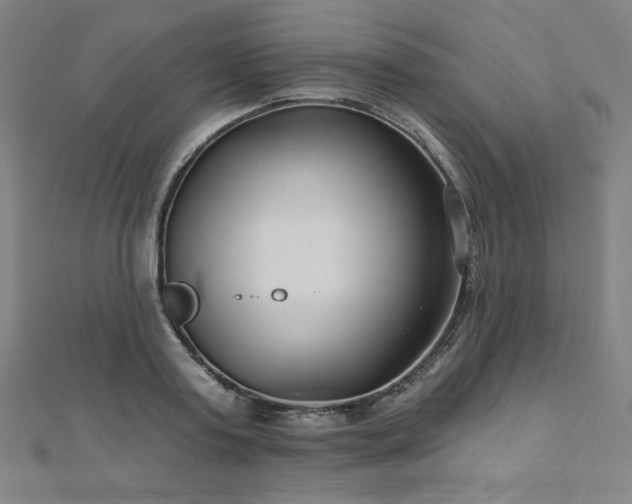X0000112480795200908171219
