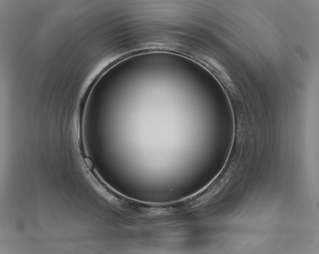 X0000112480796200908171218