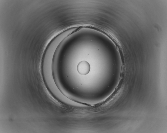 X0000112480797200908171218