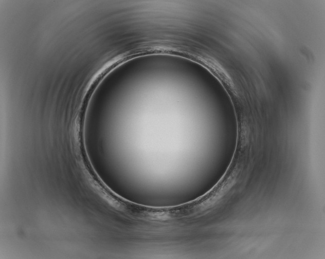 X0000112480798200908171218