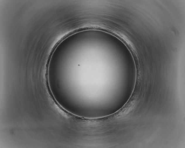 X0000112480799200908171218