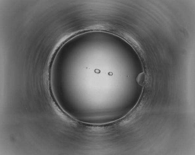 X0000112480800200908171218