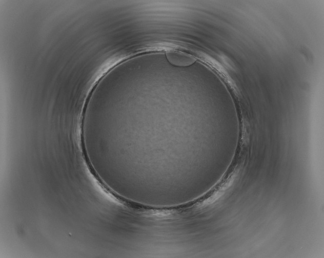 X0000112480802200908171218