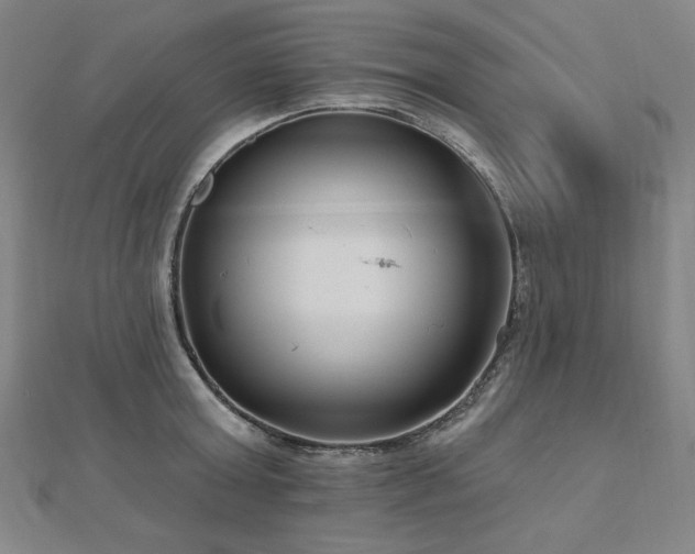 X0000112480803200908171218