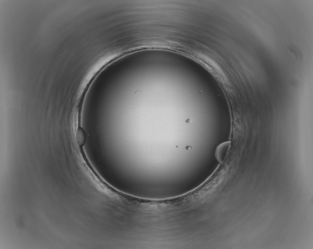 X0000112480804200908171218