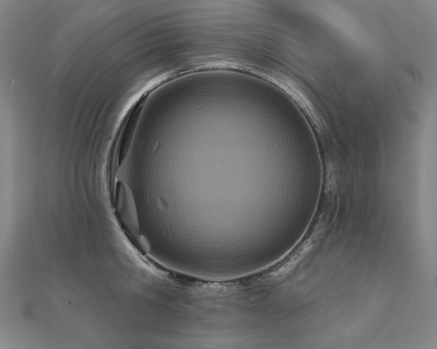 X0000112480806200908171218