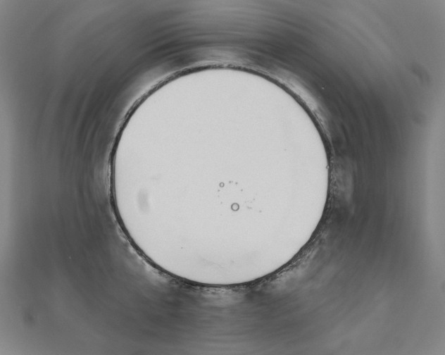 X0000112480807200908171218