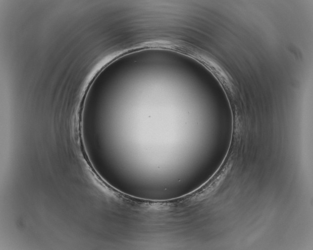 X0000112480808200908171218