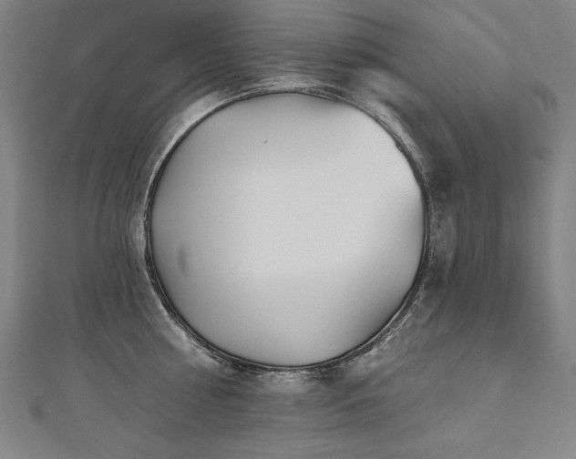 X0000112480810200908171218
