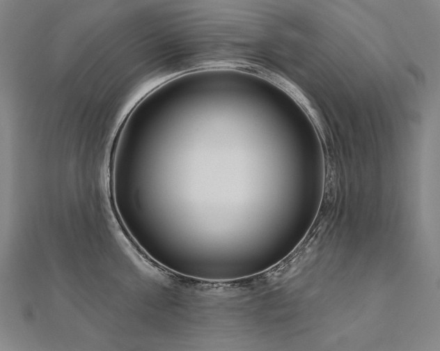 X0000112480811200908171218