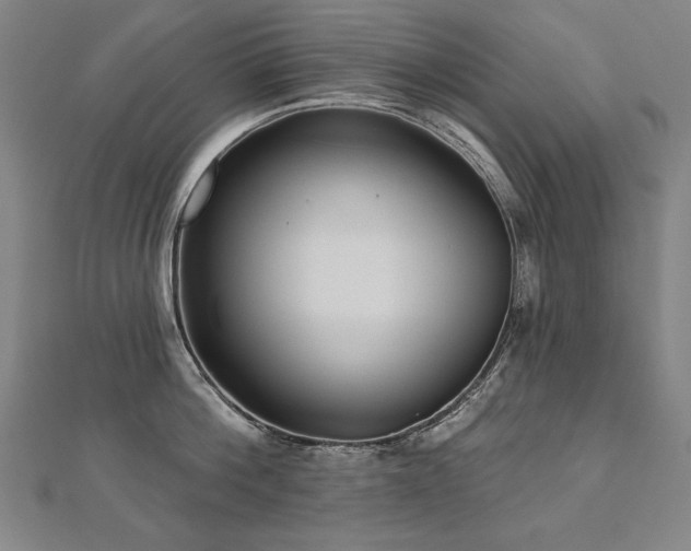 X0000112480812200908171218