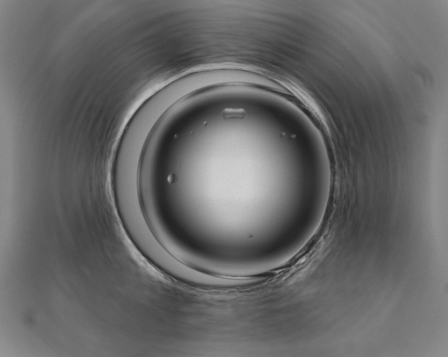 X0000112480813200908171218