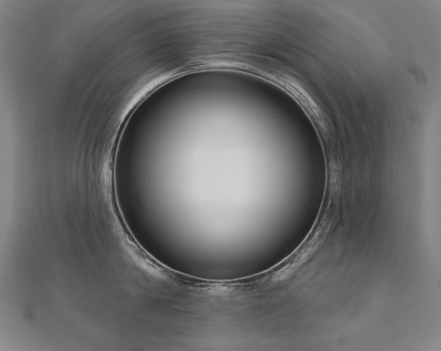 X0000112480814200908171218