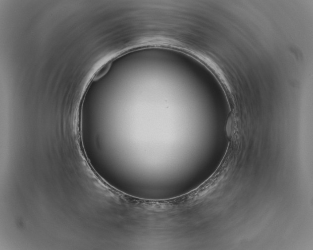X0000112480815200908171218